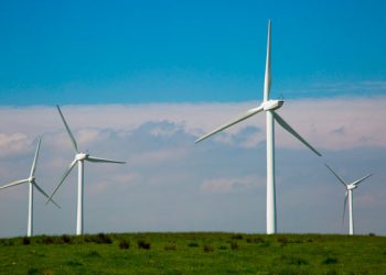 Tribunal suspende “electrolinazo” para una empresa de energía eólica