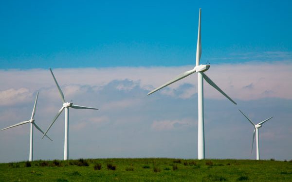 Tribunal suspende “electrolinazo” para una empresa de energía eólica