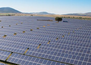 Gobierno de Baja California lanza licitación para desarrollo de una central fotovoltaica