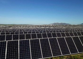 Propuesta en el Senado busca incrementar capacidad de generación de 0.5 a 1 MW