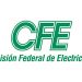 CFE pierde 78 mil 920 mdp al cierre de 2020