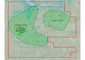 Vista Oil & Gas invertirá 58 millones de dólares en desarrollo de campos Cafeto y Vernet