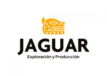 Vista Oil & Gas cede a Jaguar su participación en contratos de la ronda 2