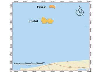 Fieldwood Energy modifica actividades de producción para el año 2021