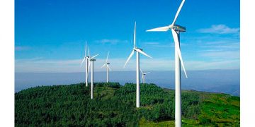 IP: giro en electricidad desmantelará a renovables
