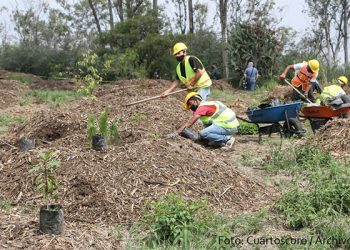 Impulsan programa de compensaciones para sector de hidrocarburos