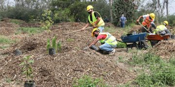 Impulsan programa de compensaciones para sector de hidrocarburos