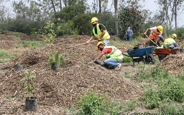 Impulsan programa de compensaciones para sector de hidrocarburos