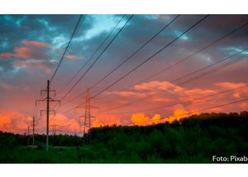 Cofece recomienda a legisladores no aprobar la reforma eléctrica