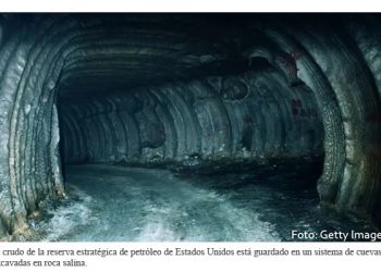 Artículos transitorios de iniciativa eléctrica, clave en discusión: especialista