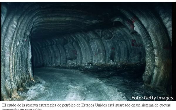 Artículos transitorios de iniciativa eléctrica, clave en discusión: especialista
