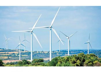 Jueces deben decir si hay delitos en autoabasto eléctrico: expertos