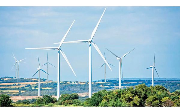 Jueces deben decir si hay delitos en autoabasto eléctrico: expertos