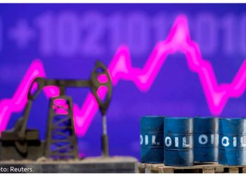 Juez ordena mantener permiso de Iberdrola en Nuevo León de manera provisional