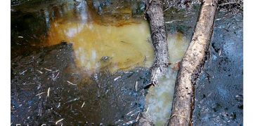 Movimiento Ciudadano en NL pide modificar costos de energía eléctrica