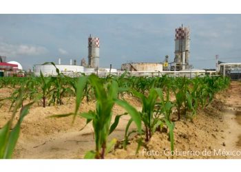 Pemex reporta avance de 73% en programa de fertilizante gratuito