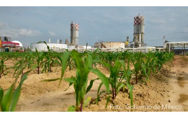 Pemex reporta avance de 73% en programa de fertilizante gratuito