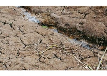 Hokchi Energy prórroga periodo de evaluación para contrato de ronda 3.1