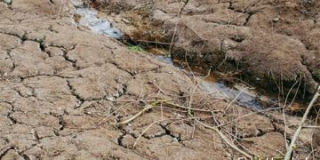 Hokchi Energy prórroga periodo de evaluación para contrato de ronda 3.1