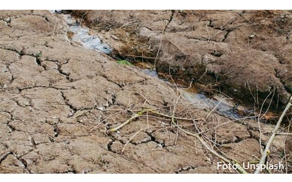 Hokchi Energy prórroga periodo de evaluación para contrato de ronda 3.1