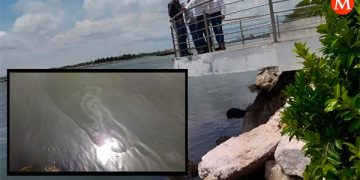 Investiga Profepa y Medio Ambiente derrame de aparente hidrocarburo en el Río Pánuco