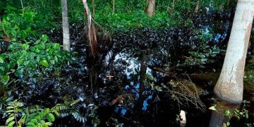 Niegan a gaseras amparo contra regulación de precios de la CRE