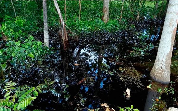 Niegan a gaseras amparo contra regulación de precios de la CRE