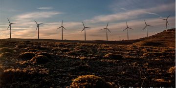 En el 2023 Sener destinaría recursos a Dos Bocas y también para electricidad