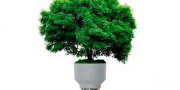 Enel inicia conversaciones con la CRE para migrar una central de autoabasto