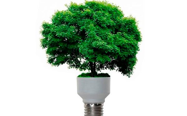 Enel inicia conversaciones con la CRE para migrar una central de autoabasto