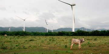 Enel inicia conversaciones con la CRE para migrar una central de autoabasto