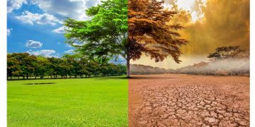 Anomalías por $42 millones en Pemex