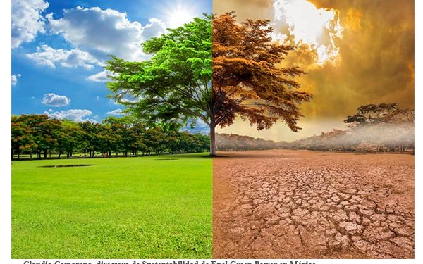 Anomalías por $42 millones en Pemex