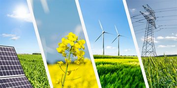 La política de Energías Renovables: Un crimen de Estado