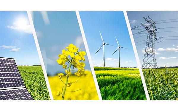 La política de Energías Renovables: Un crimen de Estado