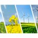 La política de Energías Renovables: Un crimen de Estado