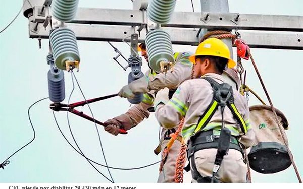 CFE y Conamer llaman a realizar transición energética basada en renovables y nuclear