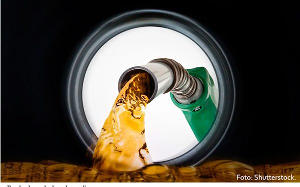 Gasolineras de bajo consumo: un nuevo modelo de negocio