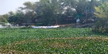 Falta de mantenimiento de Pemex generó fugas en Las Flores, ya que tuberías son muy viejas