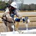 Pemex quema ilegalmente 342 millones de dólares en hidrocarburos