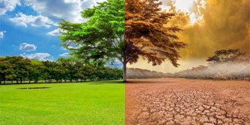 AMLO, el destructor de Pemex