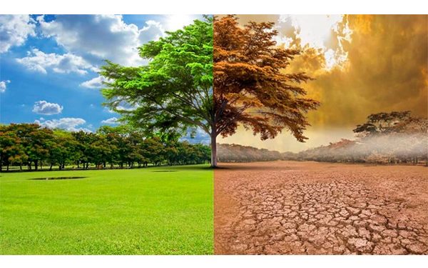 AMLO, el destructor de Pemex