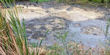 Derrame de crudo en Tamaulipas: PEMEX podría enfrentar sanciones penales por daño ambiental