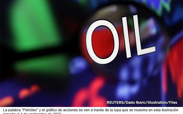 Avanza la construcción de la planta coquizadora en Salina Cruz: Sener