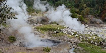 Sector eléctrico; el daño está hecho Columnista Invitado Nacional