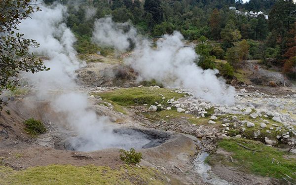 Sector eléctrico; el daño está hecho Columnista Invitado Nacional