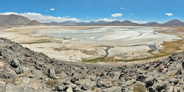 Inflación de energéticos desaceleró drásticamente en marzo en países OCDE