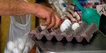 Altamira será sede de la nueva terminal de gas natural, conoce el proyecto