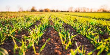 ¿Cómo almacenar diésel para la Industria minera?