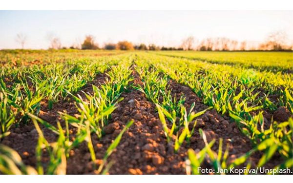 ¿Cómo almacenar diésel para la Industria minera?